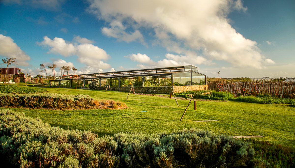 Areias do Seixo greenhouse