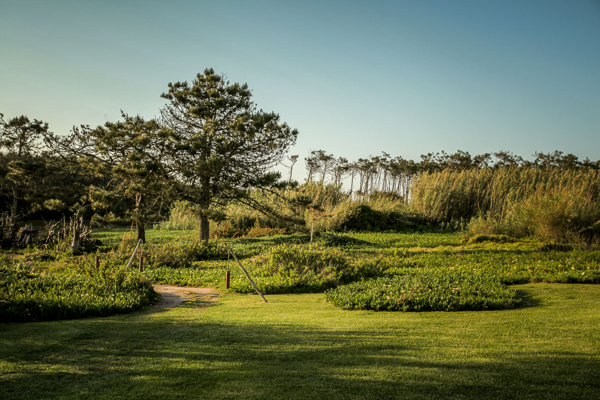 beautiful grounds of Areias do Seixo