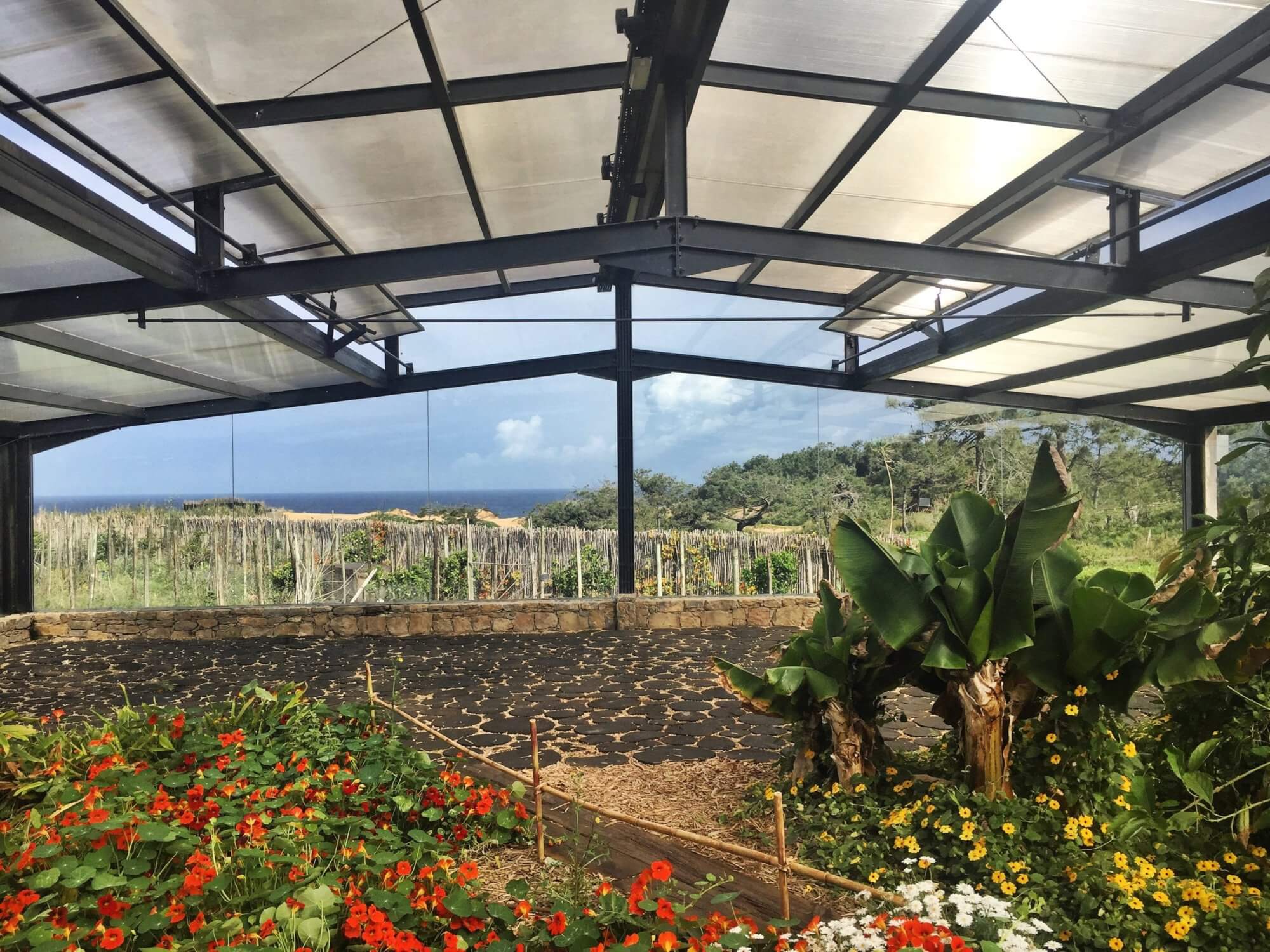 Areias do Seixo greenhouse interior