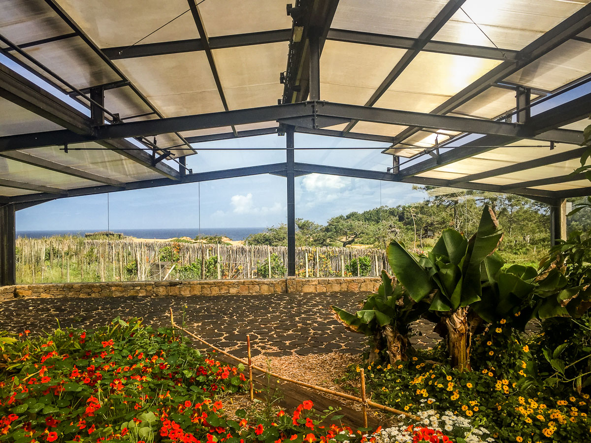 Areias do Seixo greenhouse interior