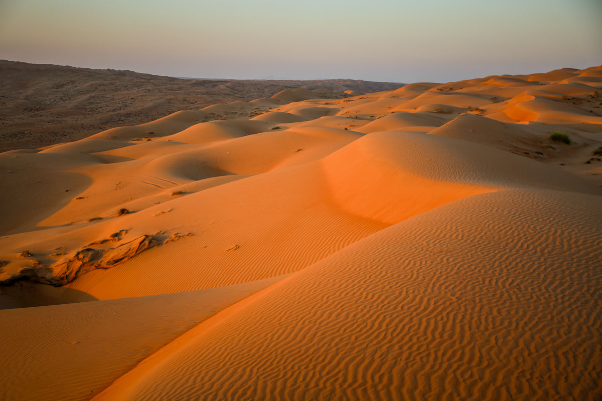 Dunes at sunset Wahiba Sands Oman