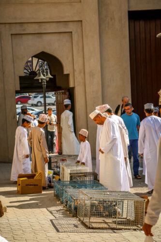 Nizwa Goat Market Bird Market