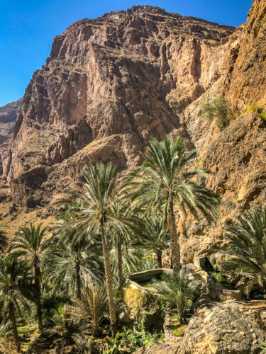 canyon hike palms Alila Jabal Akhdar