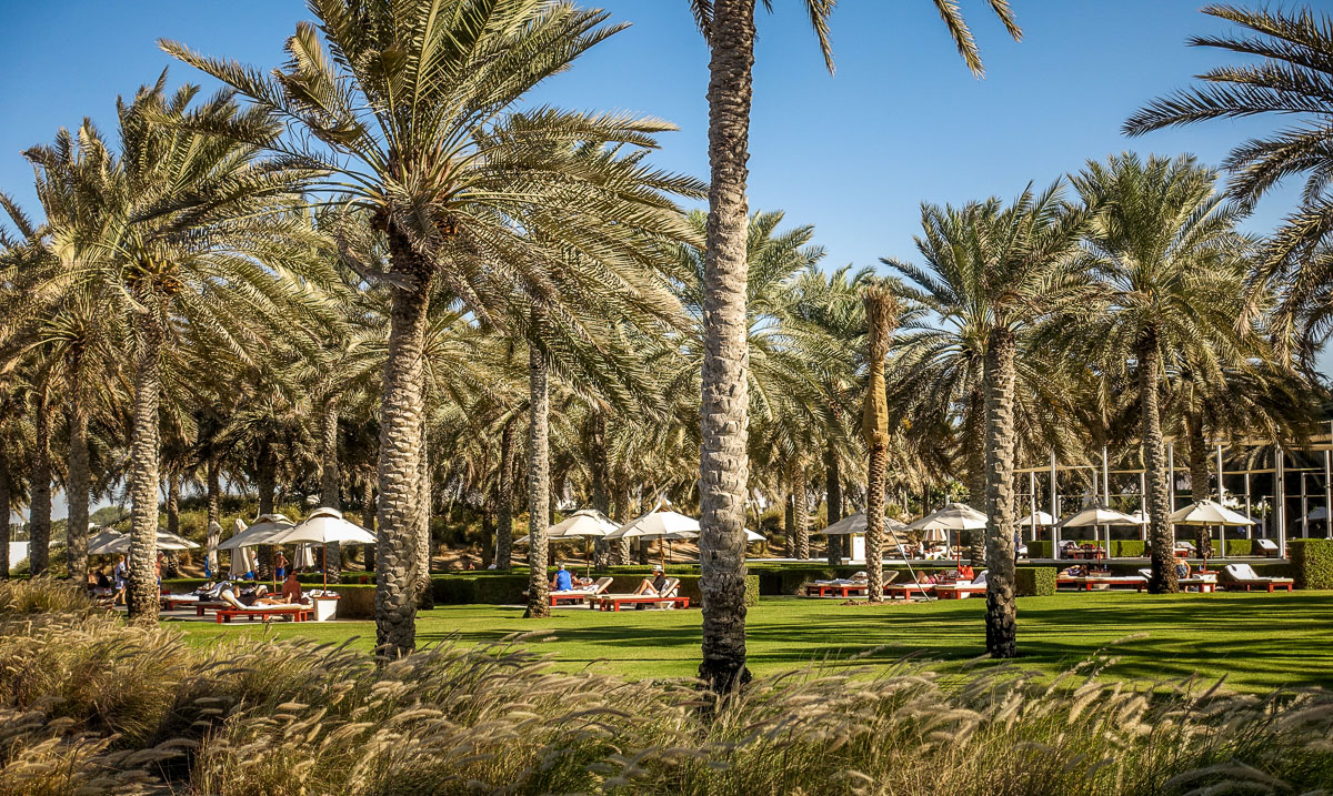 The Chedi Muscat palm trees