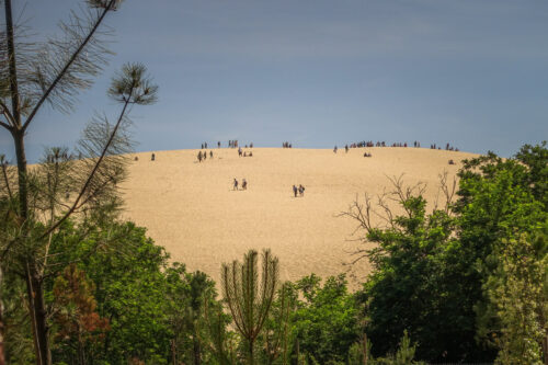 Tiny people on Dune du Pilat