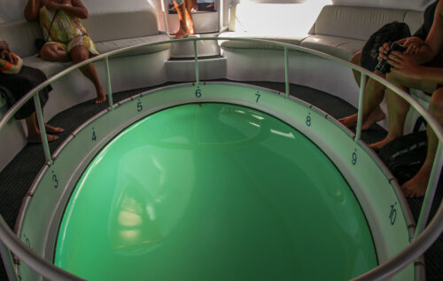 Fernando de Noronha glass bottom boat bottom