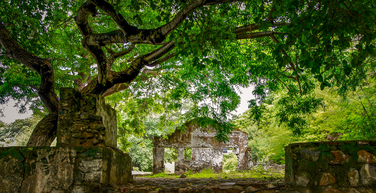 Fernando de Noronha ruins