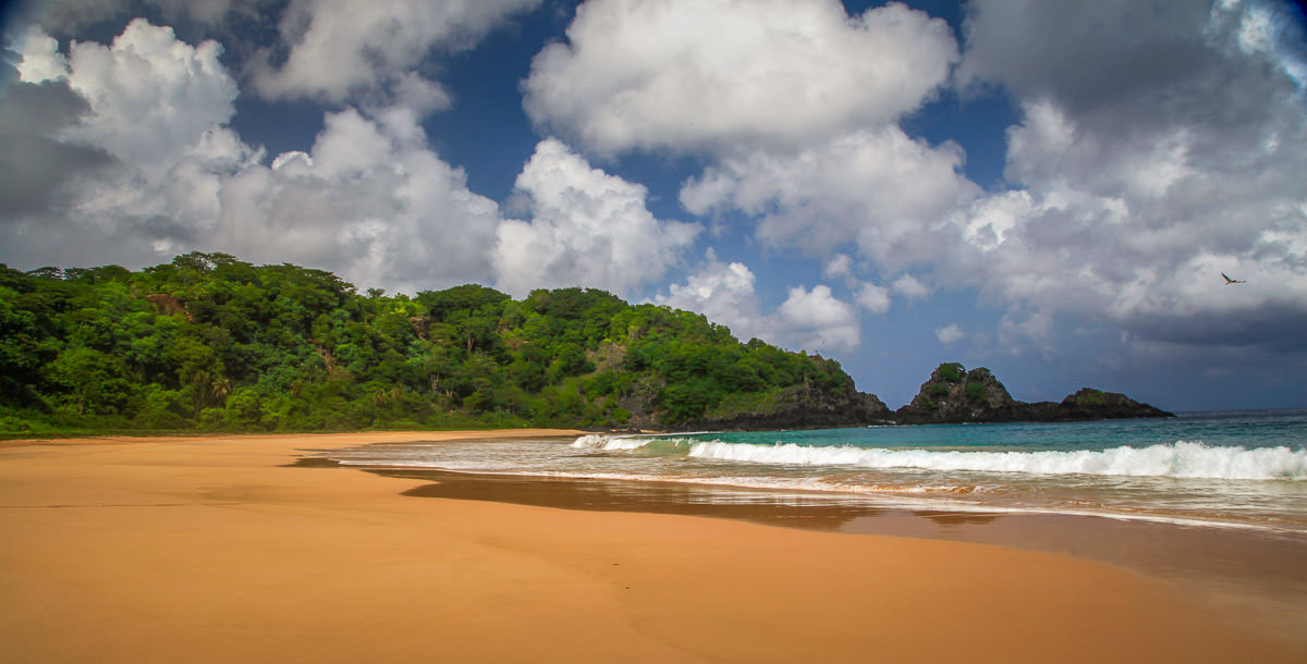 waves Praia do Sancho Fernando de Noronha