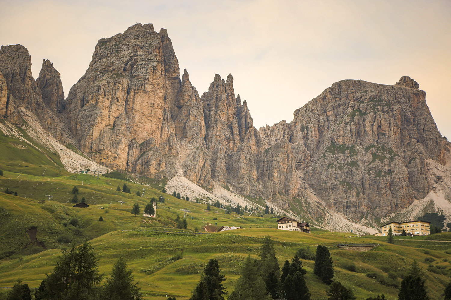 Passo Gardena mountain meadow