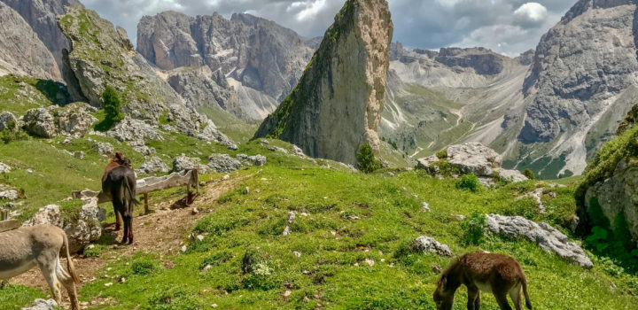 TWO GREAT HIKES IN VAL GARDENA IN THE ITALIAN DOLOMITES