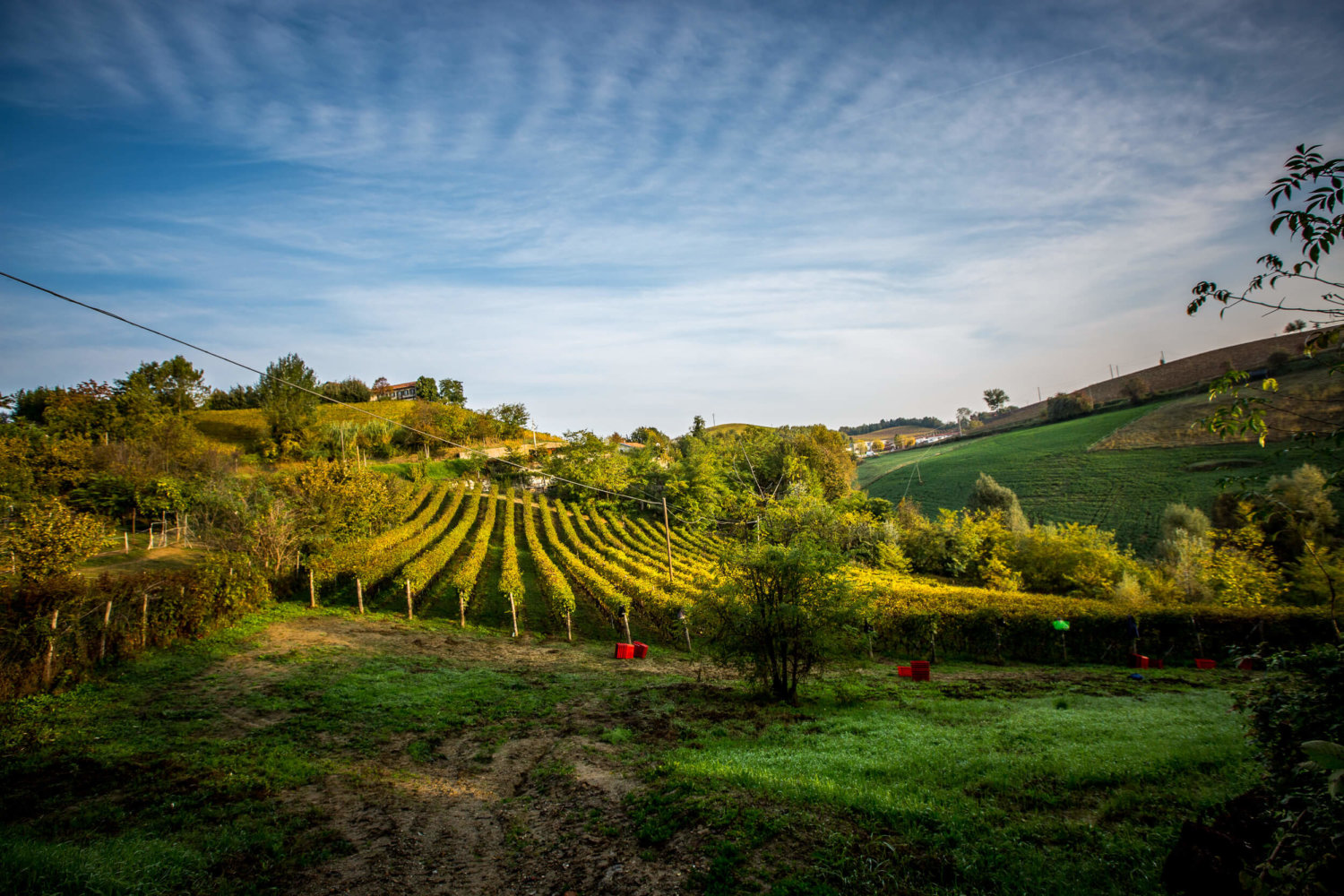 Clouds over La Casa Gialla vineyards