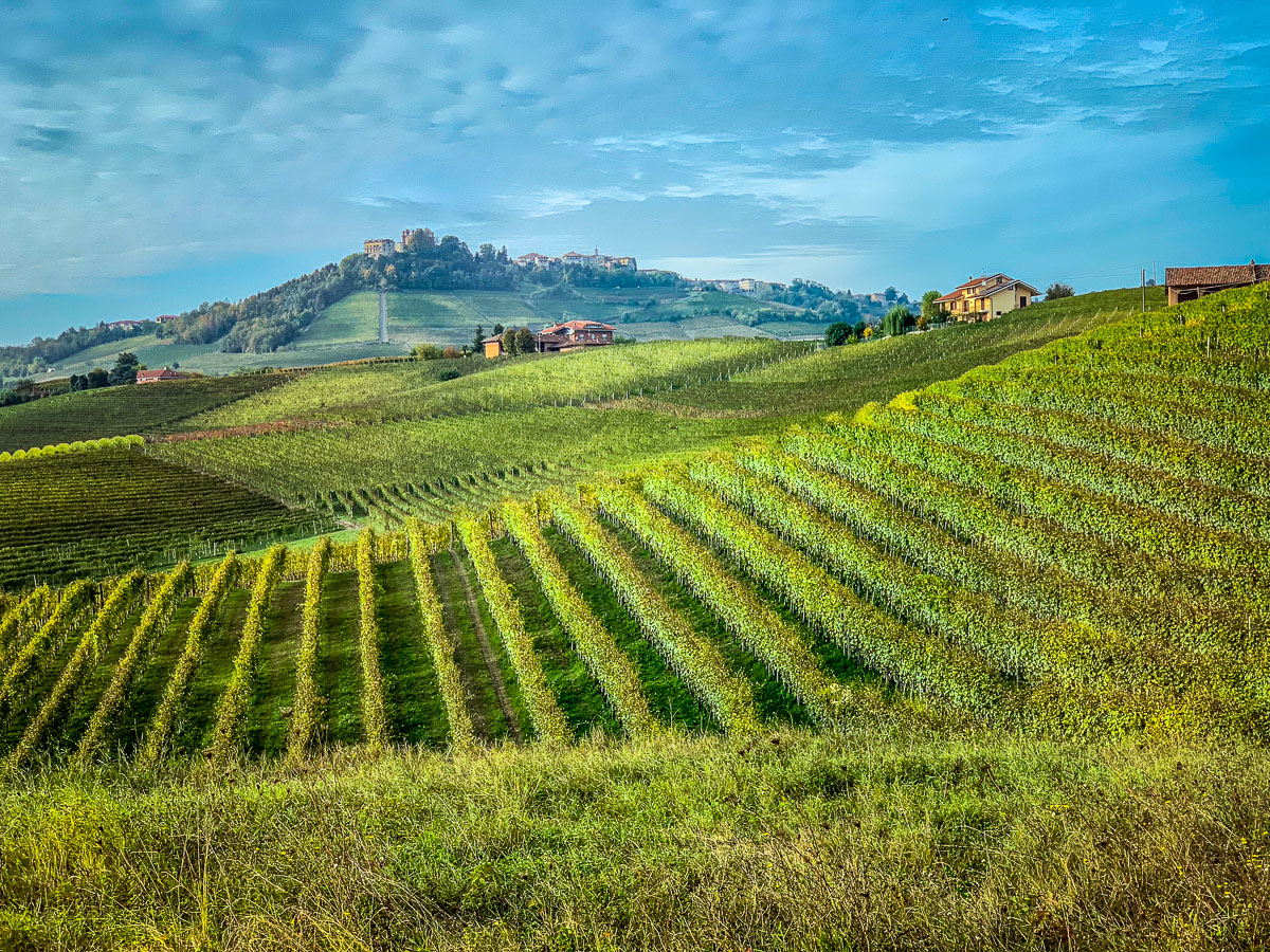 Simone Scaletta vineyards Monforte