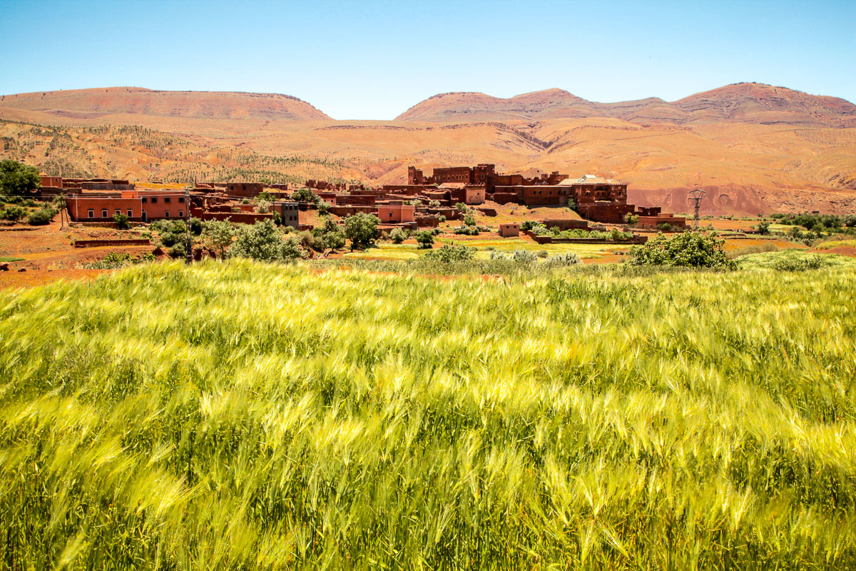 View of Moroccan oasis