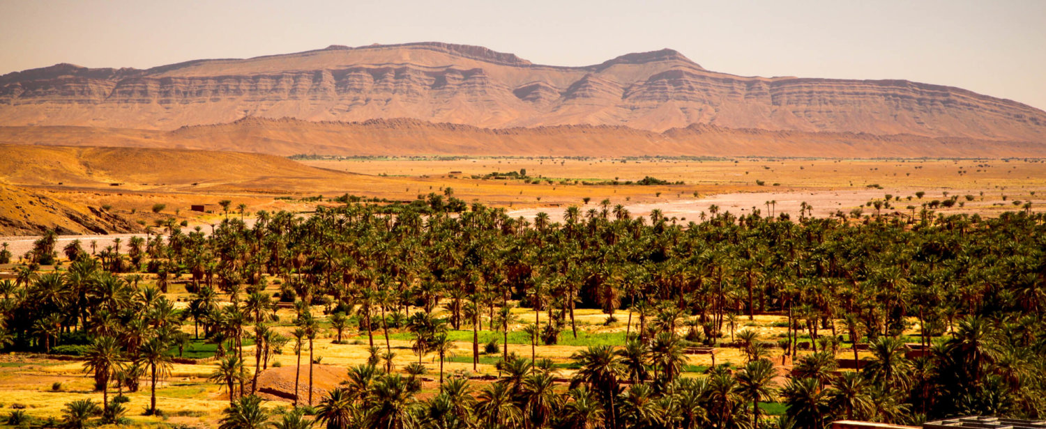 View of Moroccan oasis