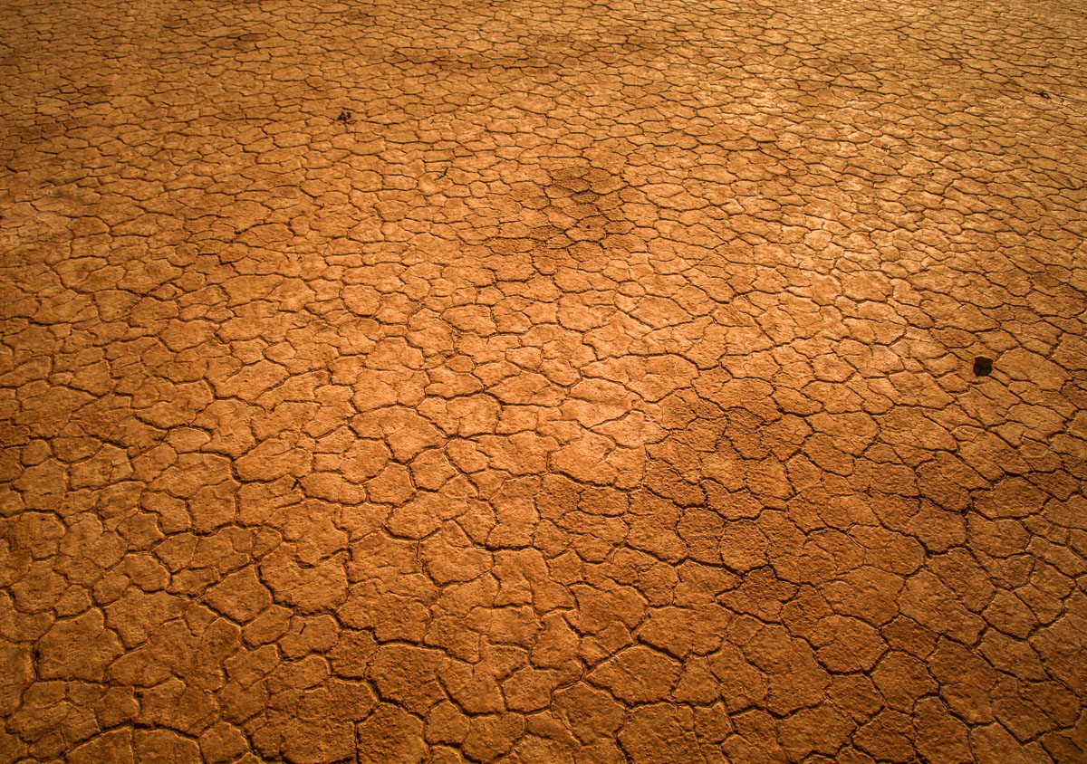 Sahara Desert caked ground