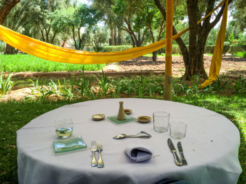 Dar Ahlam lunch in olive grove