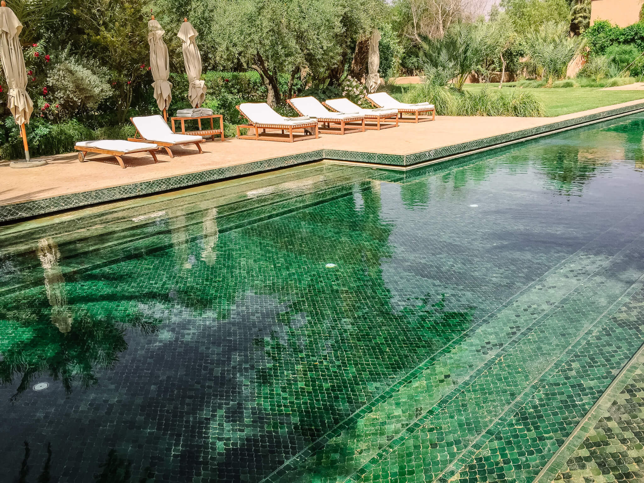 Dar Ahlam best pool in southern Morocco