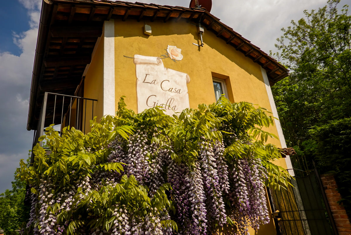 La Casa Gialla Monforte flowers