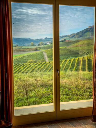 view from Simone Scaletta wines