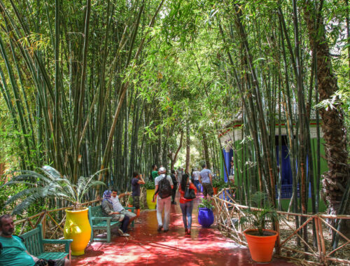 Jardin Majorelle bamboo forest