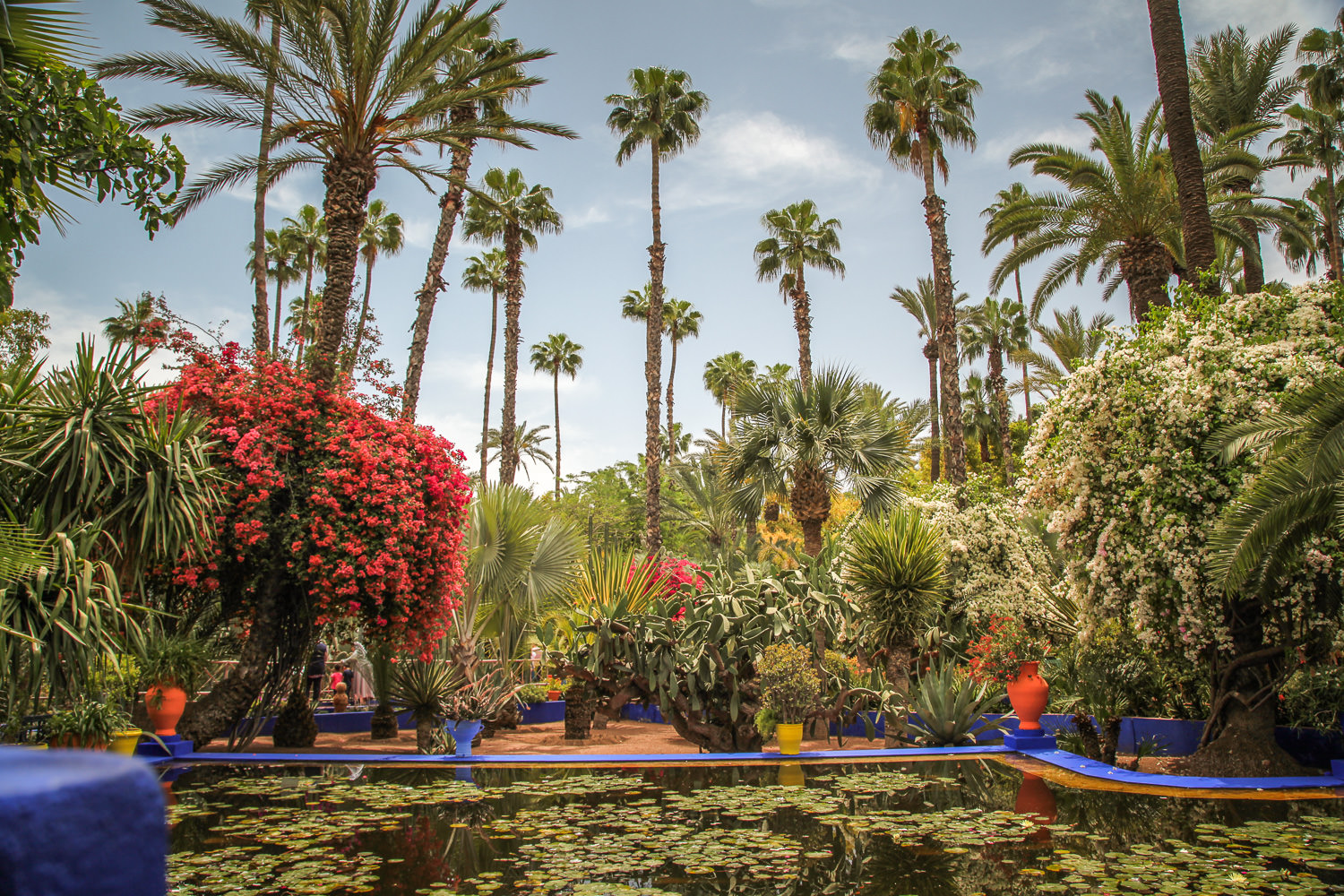 Jardin Majorelle marrakesh
