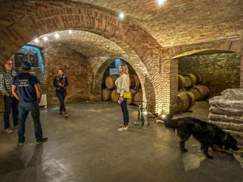 Fletcher Wines cellar