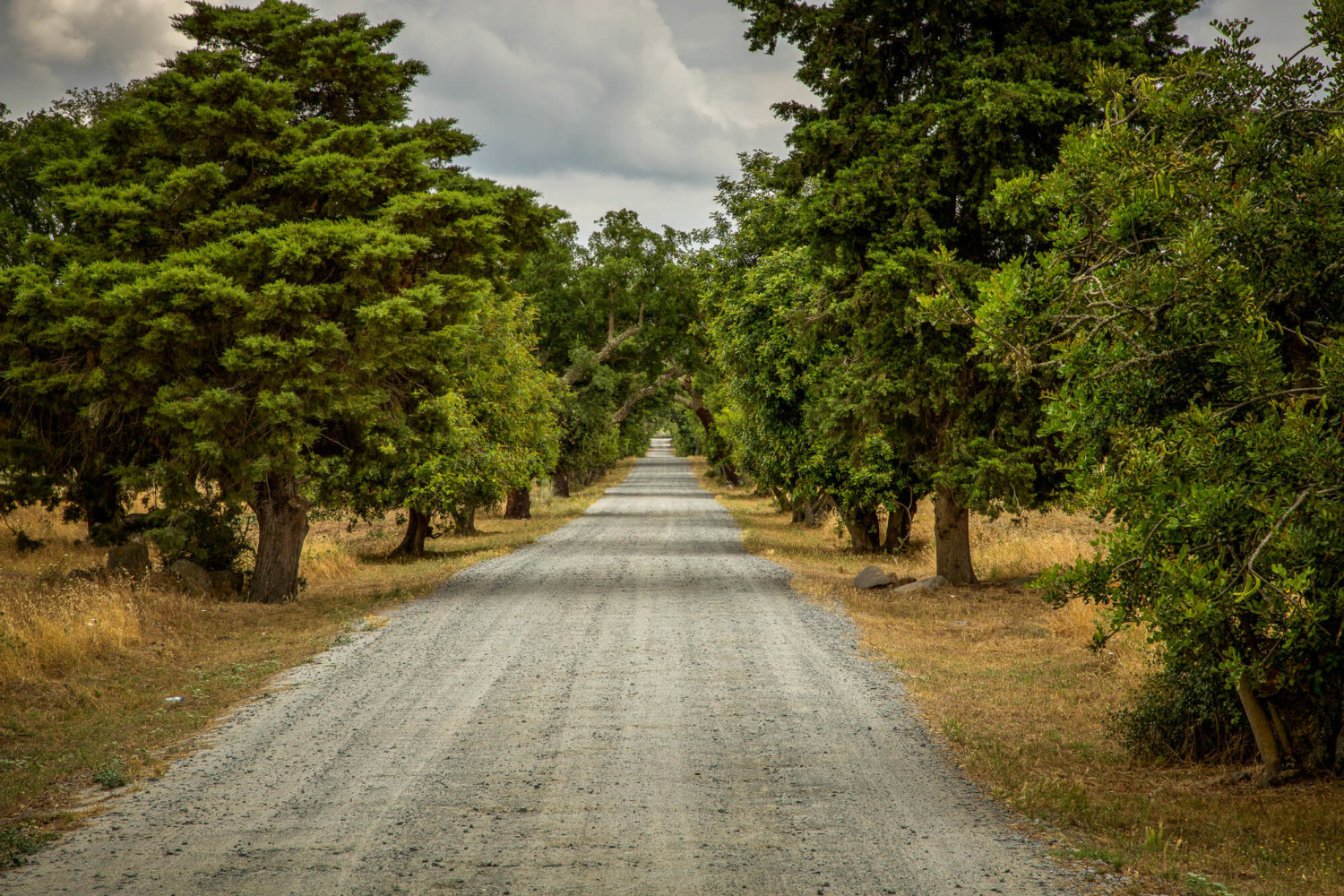 São Lourenço do Barrocal entrance road