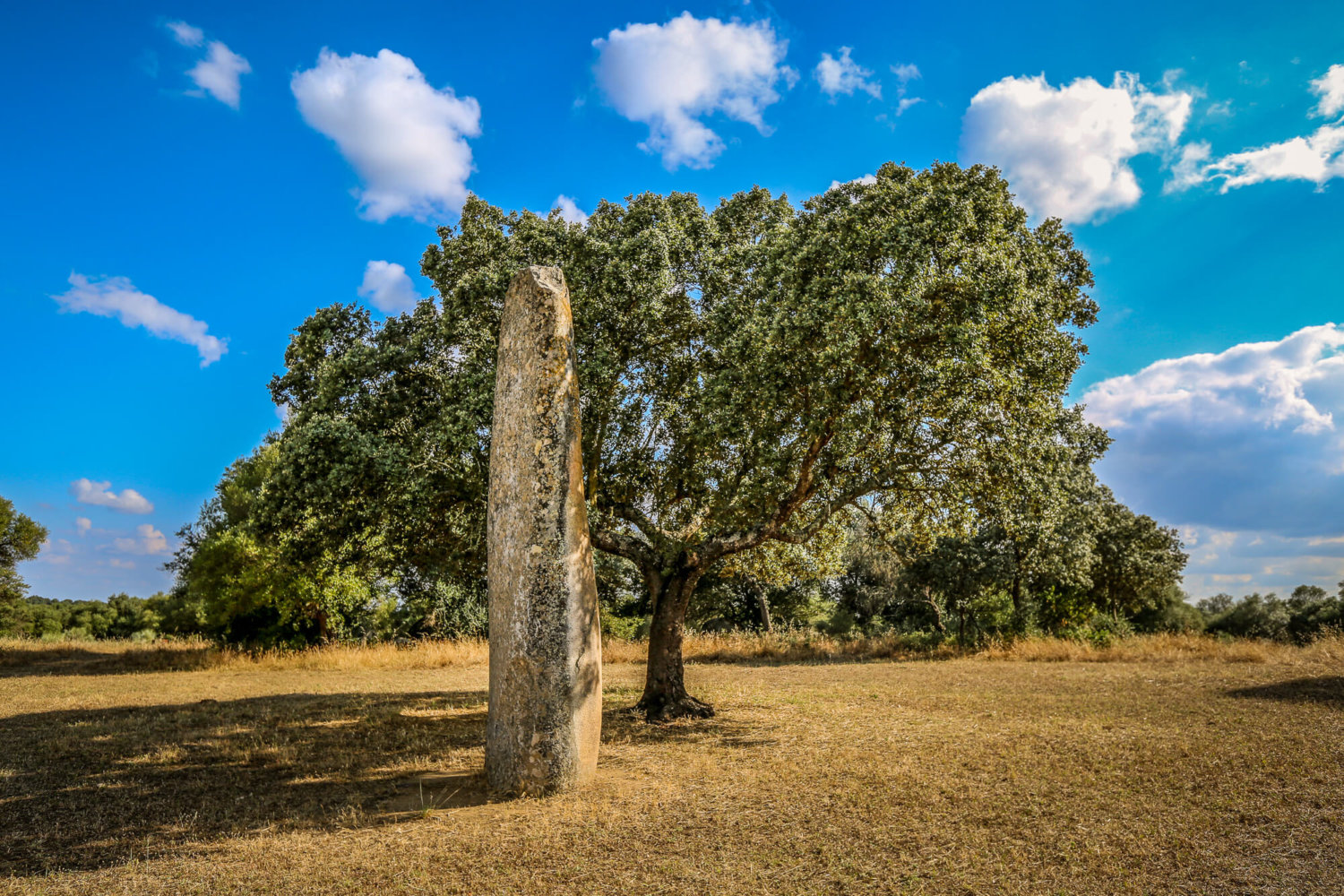 5000 year old Menhir at Sao Lourenco do Barrocal