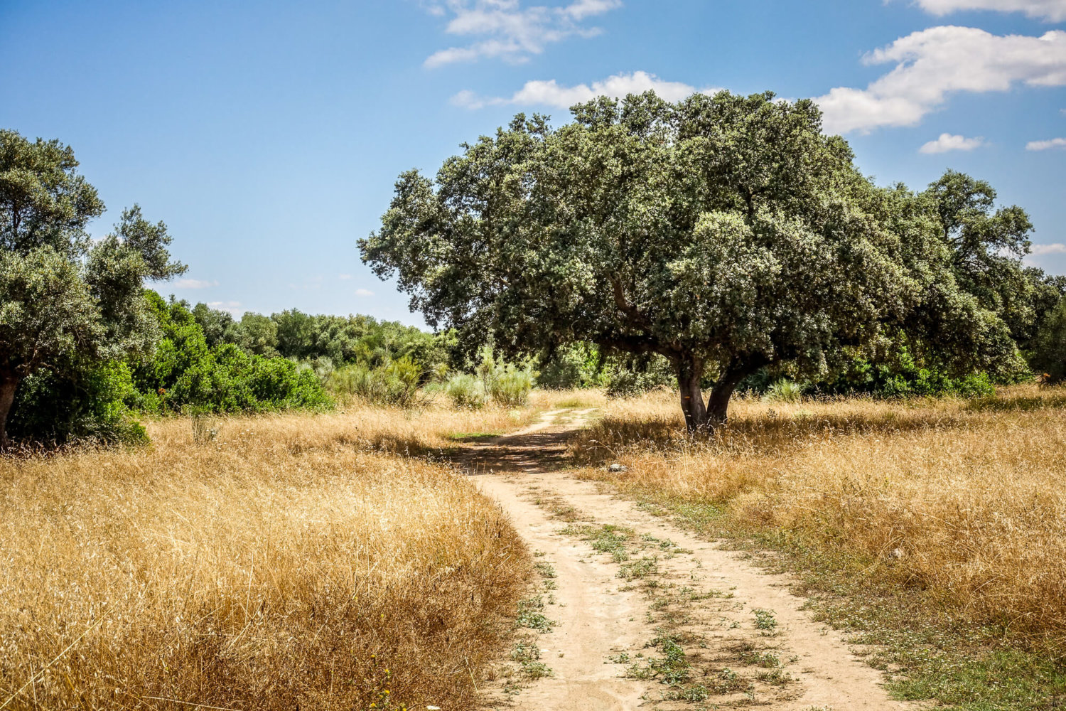 São Lourenço do Barrocal exploring grounds