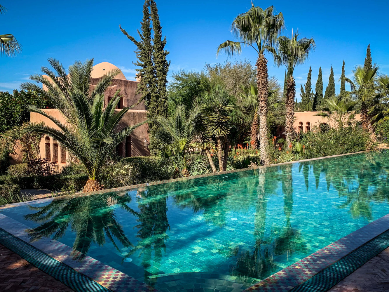 Le Jardin des Douars pool and palm trees