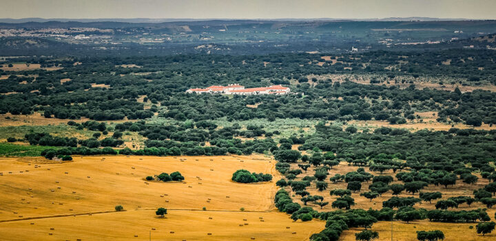 SÃO LOURENÇO BARROCAL–A BEAUTIFULLY RENOVATED FARMSTEAD IN ALENTEJO PORTUGAL