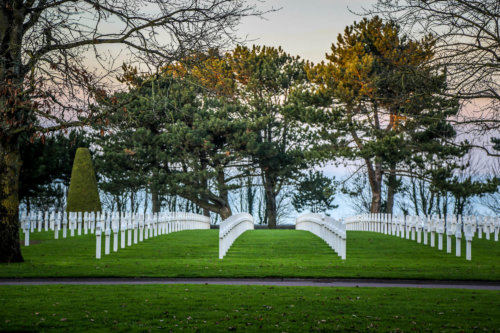 Normandy American Cemetery trees at dusk