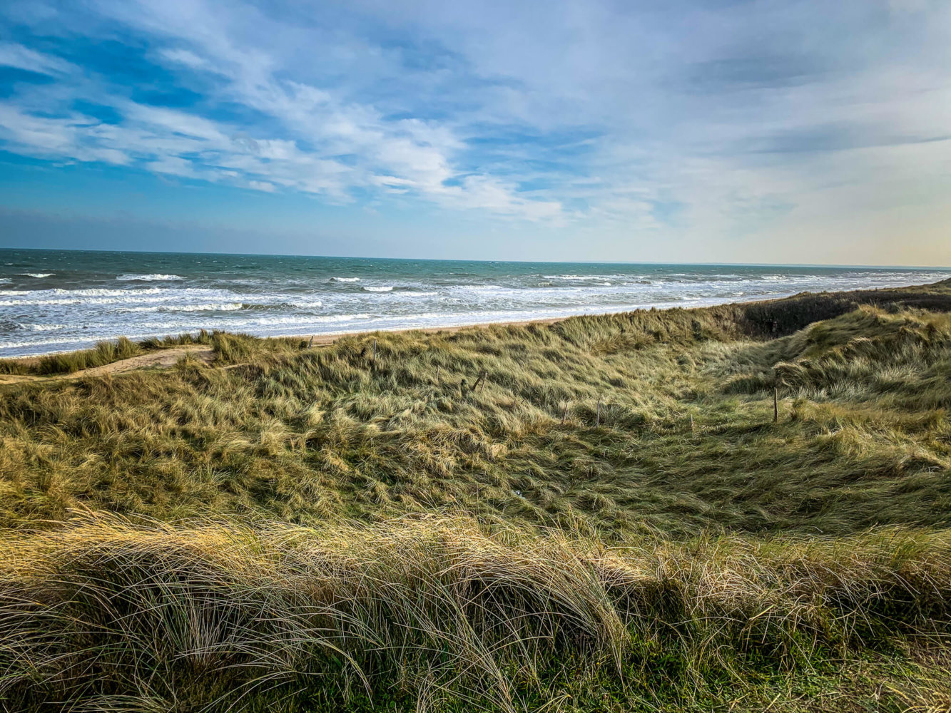 Barbed wire on Utah Beach