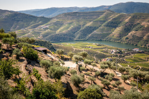 Douro River Valley views