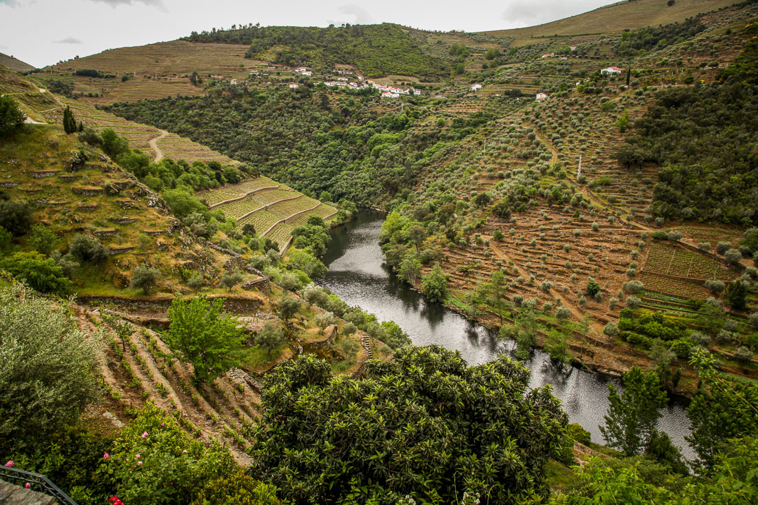 Quinta do Panascal river view