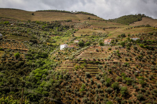 Quinta do Panascal house on hillside