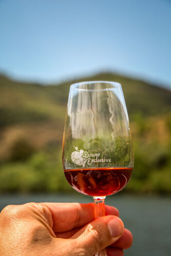 Douro Exclusive wine glass boat ride