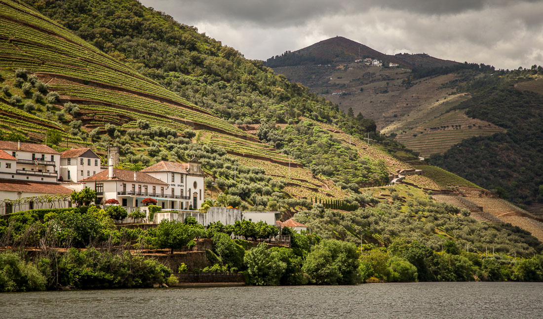 View of winery on Douro River