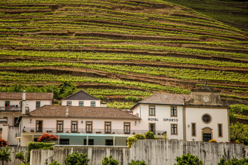 View of winery on Douro River