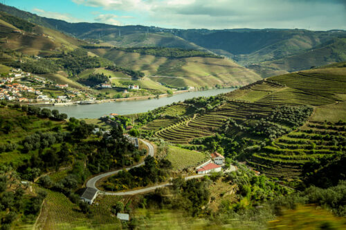 Douro Valley green hills