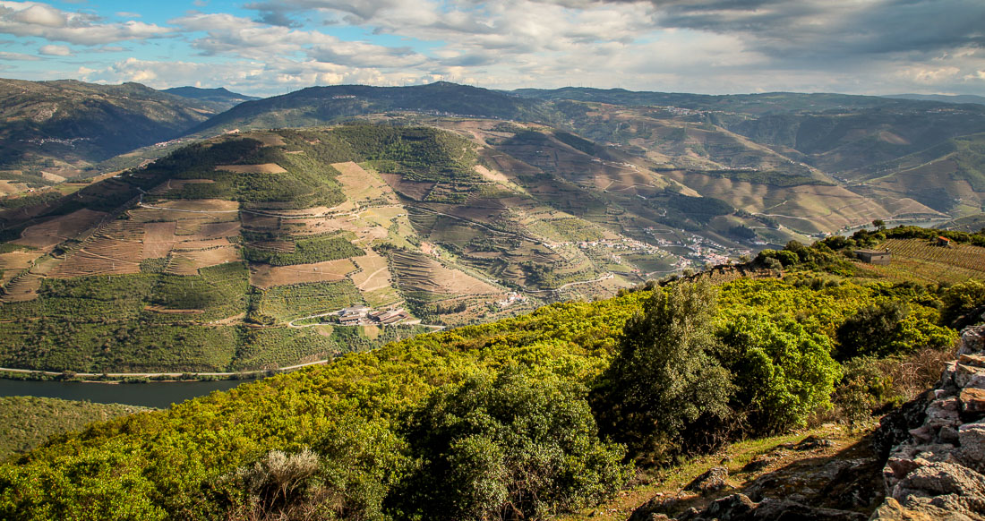 view over Douro River from hills