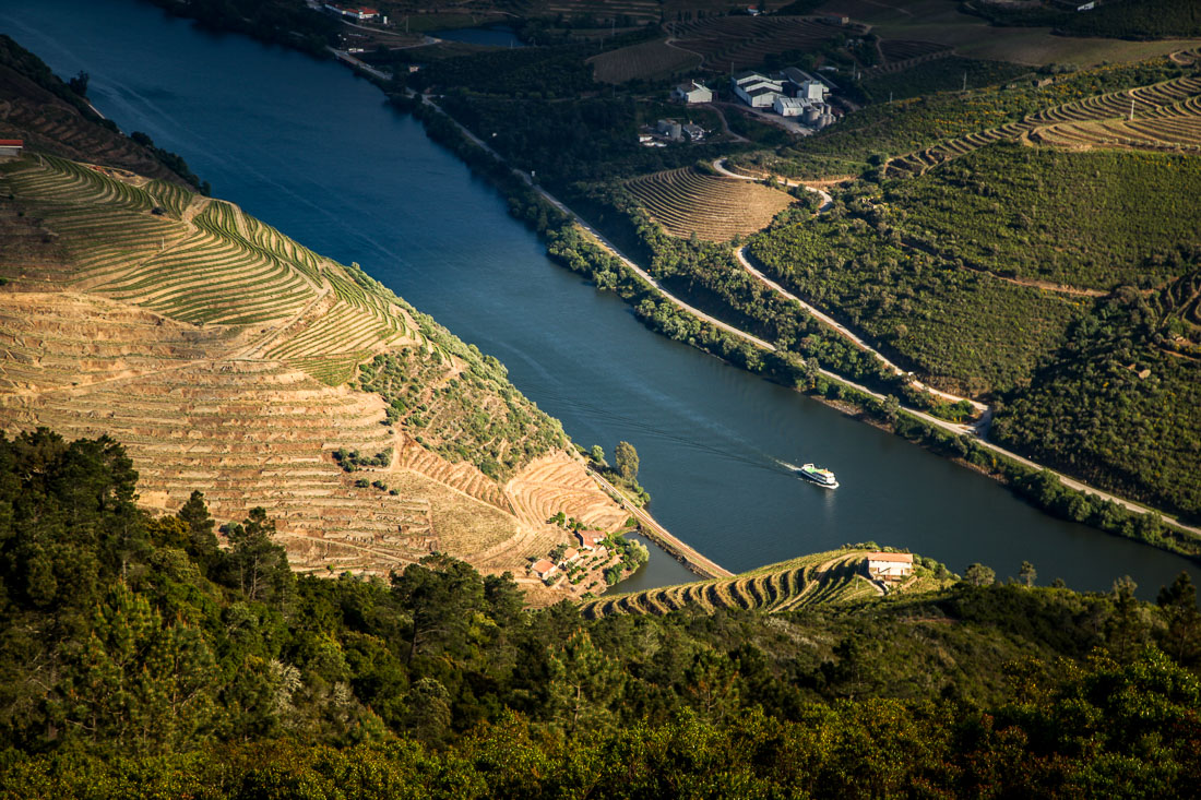 Boat on Douro River