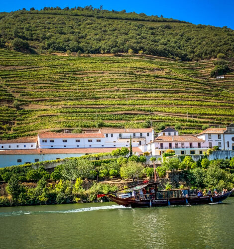 view of vineyard from Douro Exclusive Douro River tour