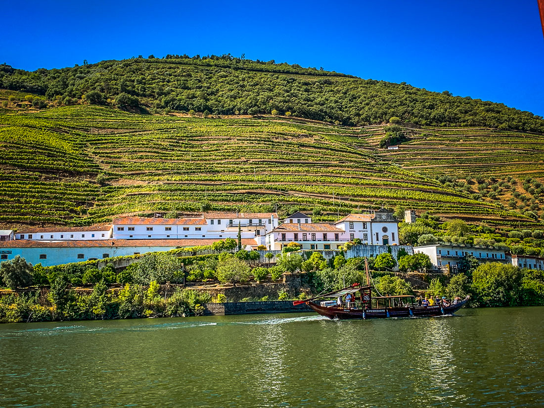 view of vineyard from Douro Exclusive Douro River tour