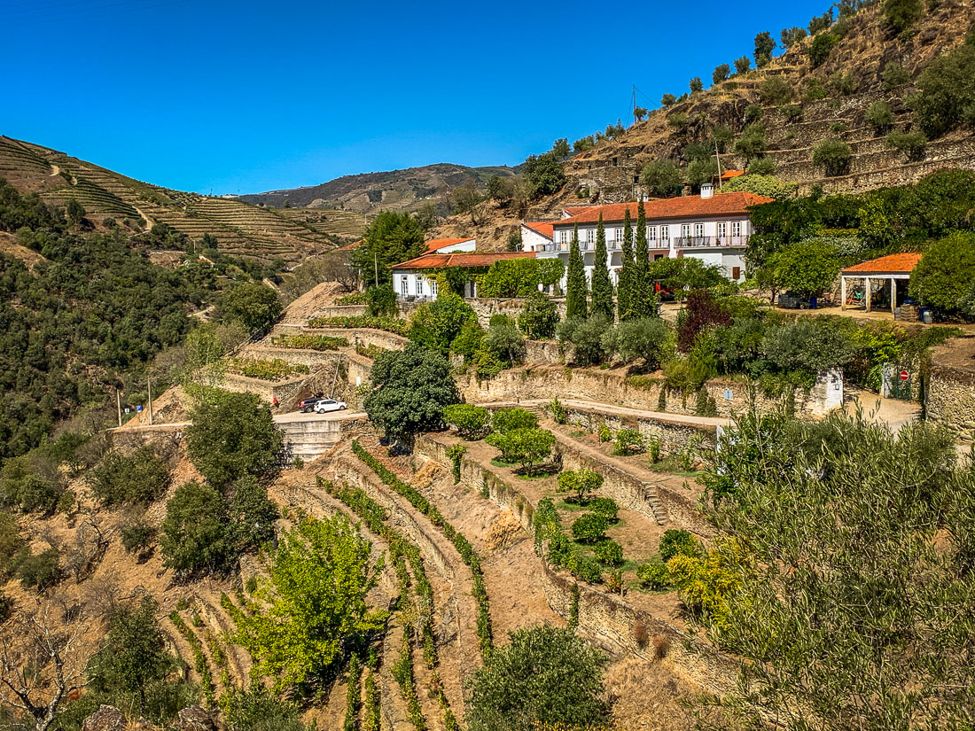 Quinta do Panascal winery