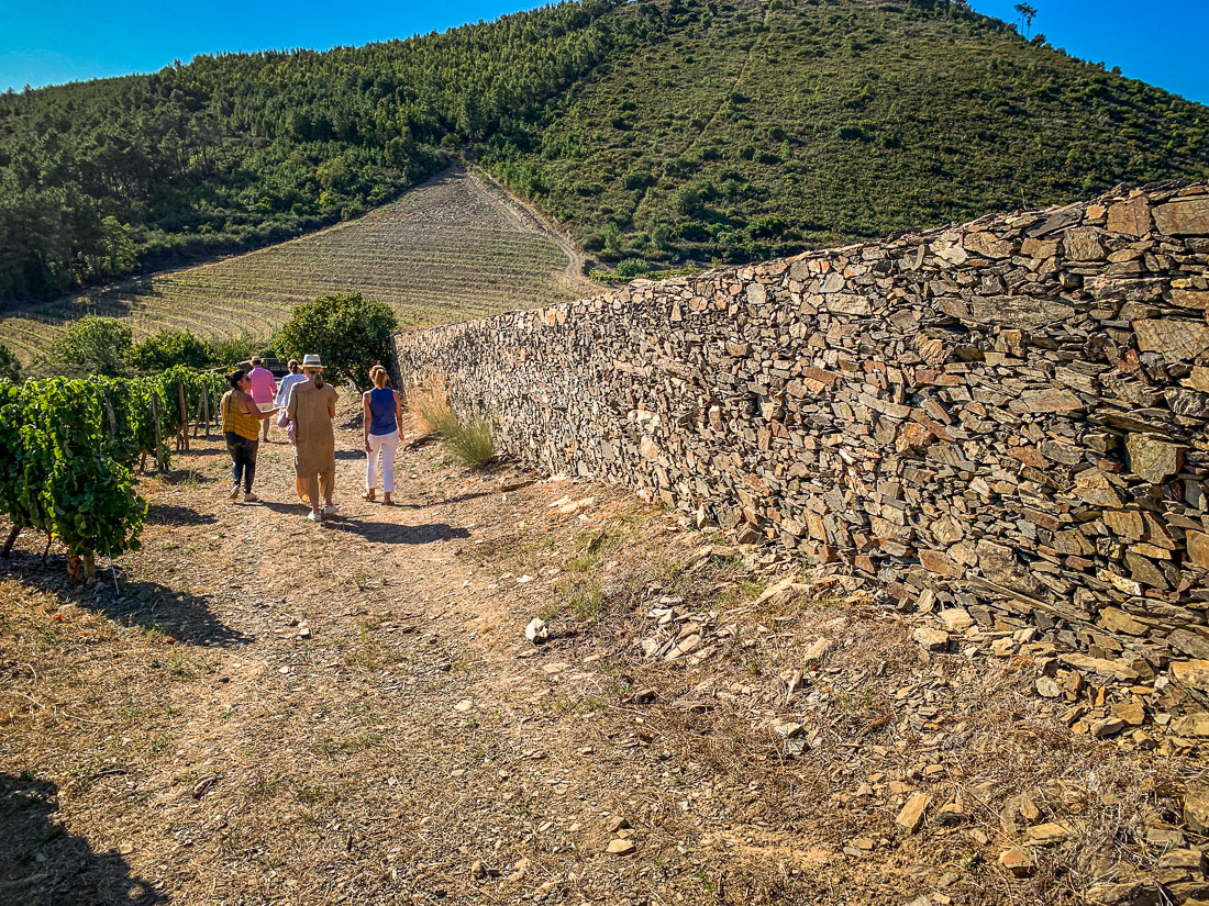 Quinta do Cume rock wall