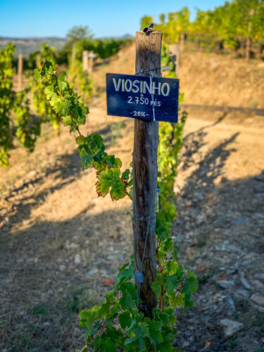 Quinta do Cume varietal sign