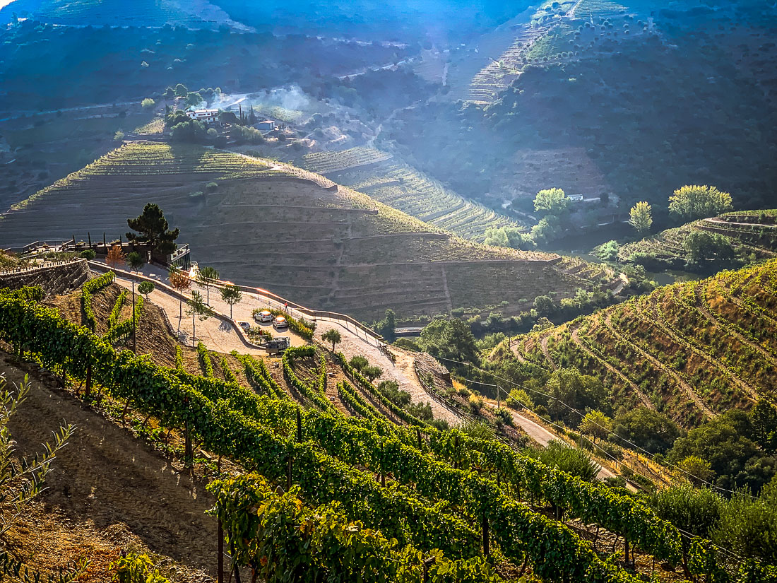 Vila Galé Douro vineyards