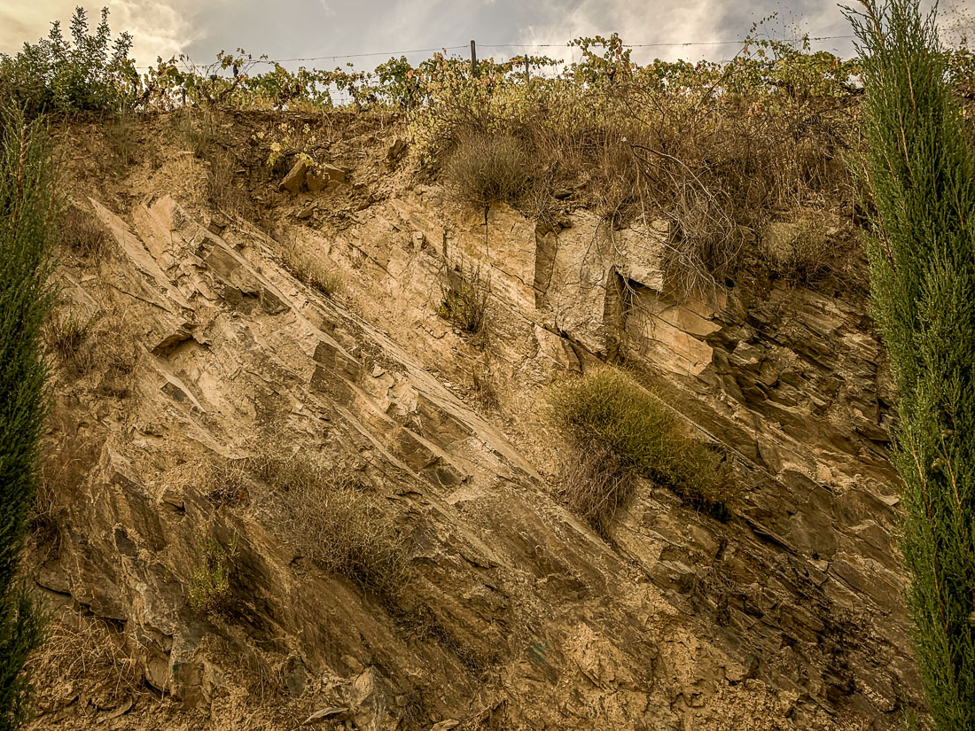 Douro River Valley soil composition