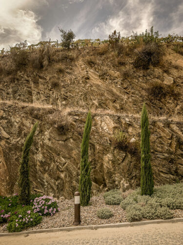 Douro River Valley soil cut